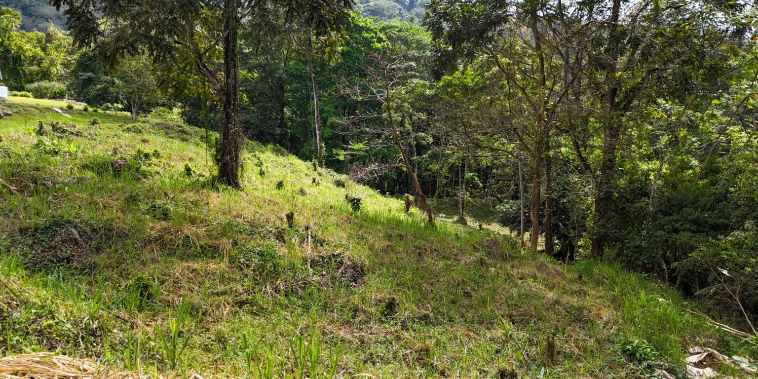 Stunning Mountain Views with River Frontage in One of the Most Sought-After Communities of Ojochal Costa Rica Stunning Mountain Views with River Frontage in One of the Most Sought-After Communities of Ojochal Costa Rica