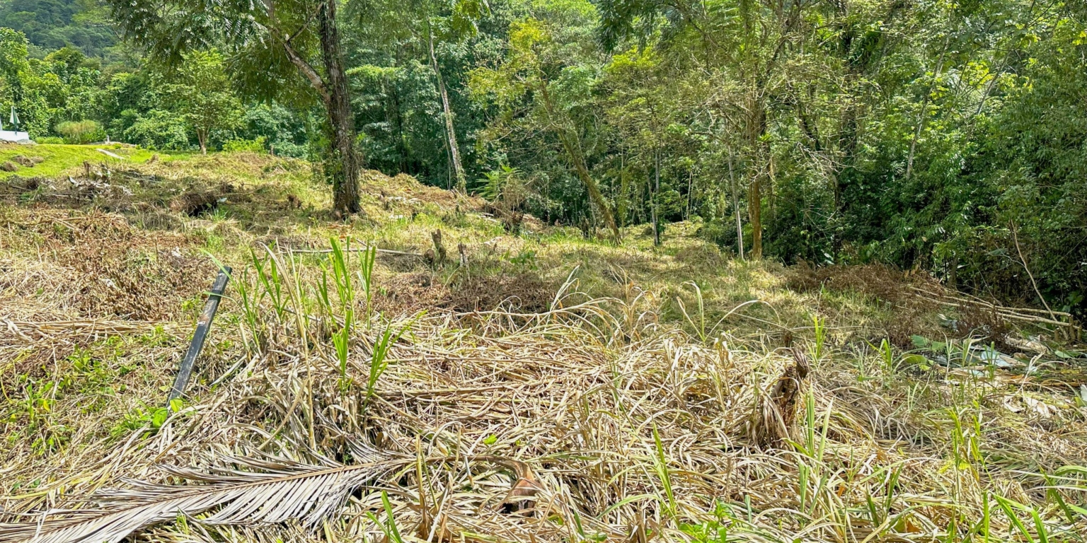 Stunning Mountain Views with River Frontage in One of the Most Sought-After Communities of Ojochal Costa Rica Stunning Mountain Views with River Frontage in One of the Most Sought-After Communities of Ojochal Costa Rica