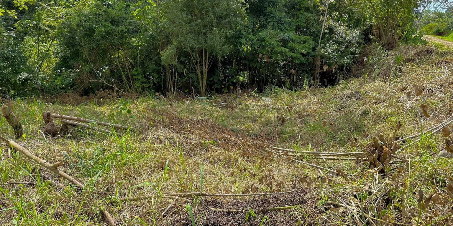 Stunning Mountain Views with River Frontage in One of the Most Sought-After Communities of Ojochal Costa Rica Stunning Mountain Views with River Frontage in One of the Most Sought-After Communities of Ojochal Costa Rica