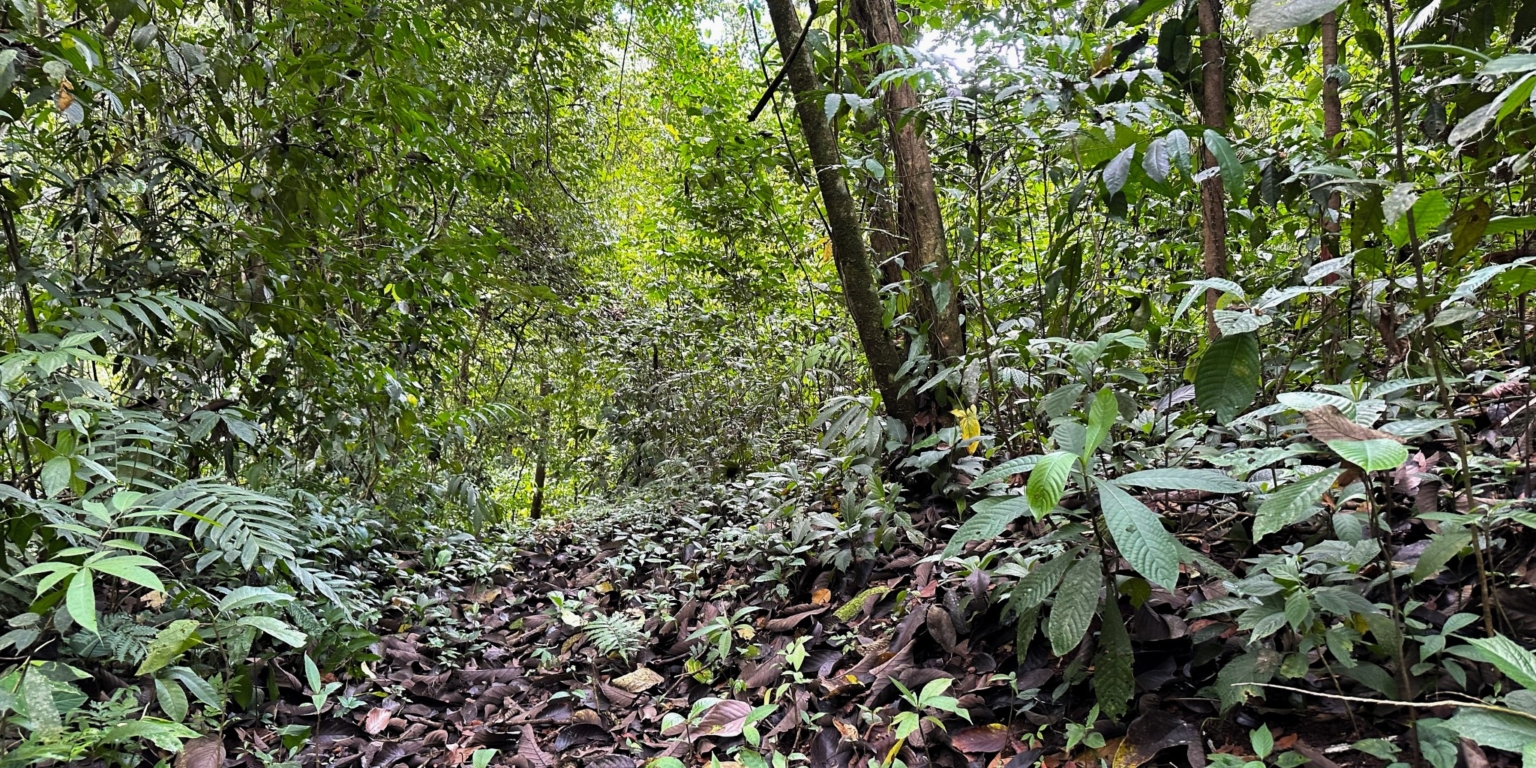 Stunning Mountain Views with River Frontage in One of the Most Sought-After Communities of Ojochal Costa Rica Stunning Mountain Views with River Frontage in One of the Most Sought-After Communities of Ojochal Costa Rica