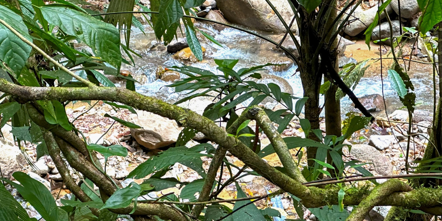 Stunning Mountain Views with River Frontage in One of the Most Sought-After Communities of Ojochal Costa Rica Stunning Mountain Views with River Frontage in One of the Most Sought-After Communities of Ojochal Costa Rica