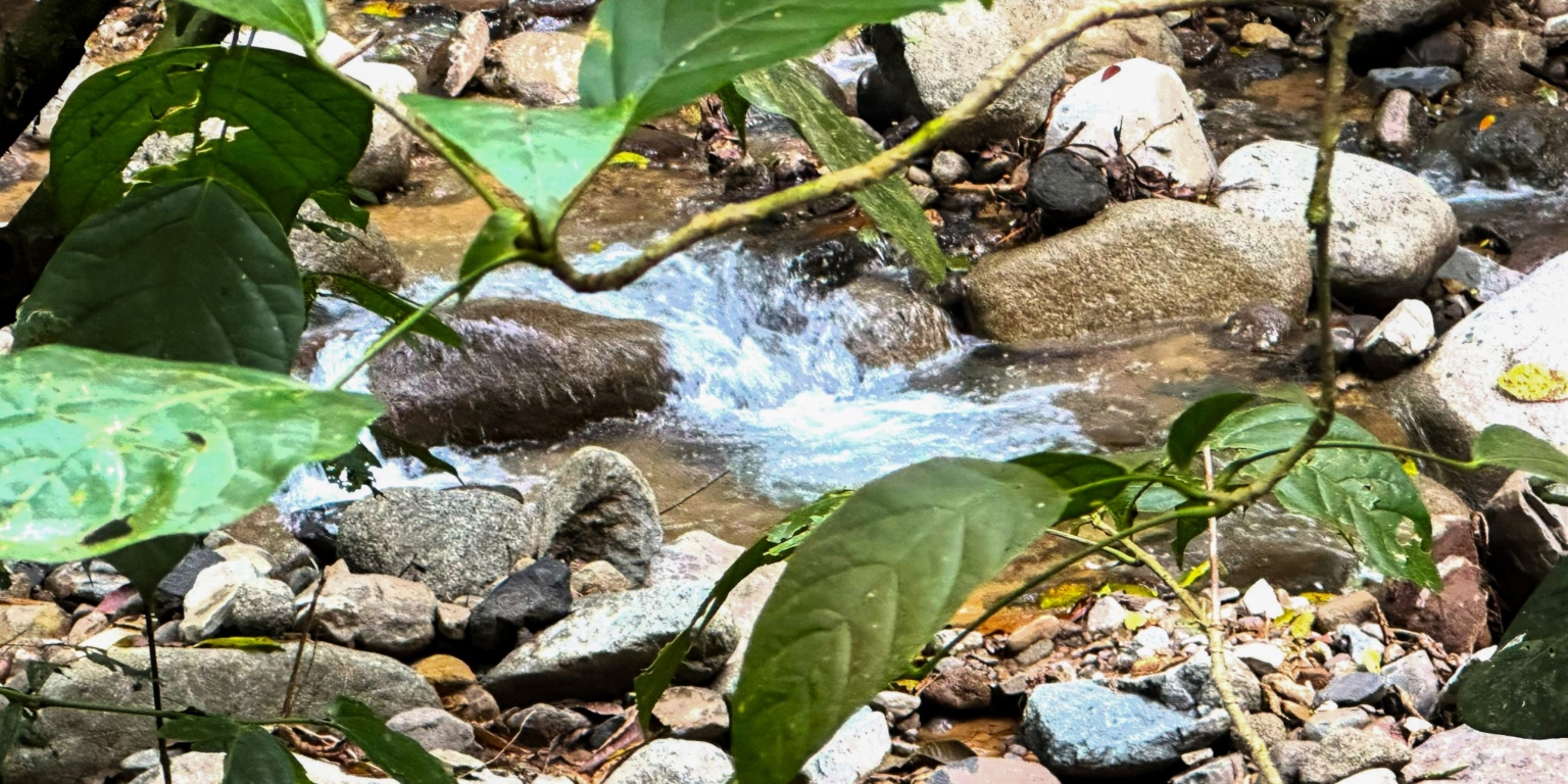 Stunning Mountain Views with River Frontage in One of the Most Sought-After Communities of Ojochal Costa Rica Stunning Mountain Views with River Frontage in One of the Most Sought-After Communities of Ojochal Costa Rica