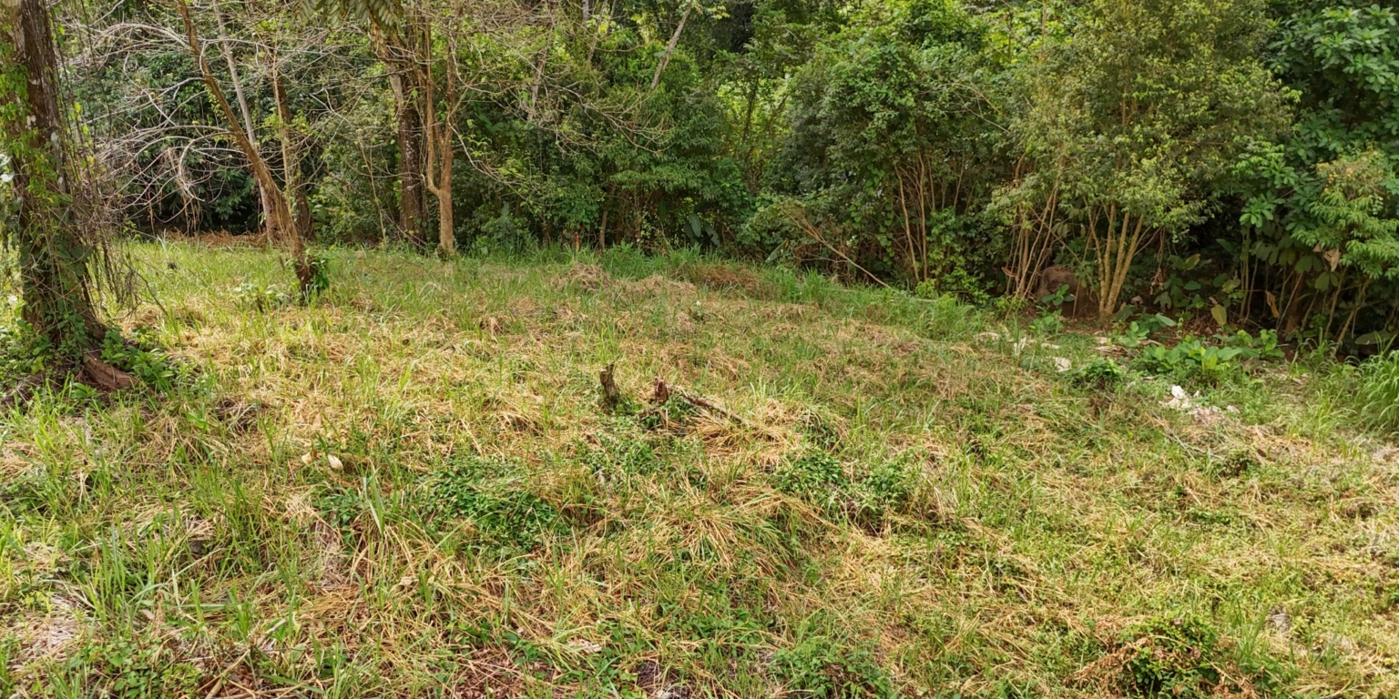 Stunning Mountain Views with River Frontage in One of the Most Sought-After Communities of Ojochal Costa Rica Stunning Mountain Views with River Frontage in One of the Most Sought-After Communities of Ojochal Costa Rica