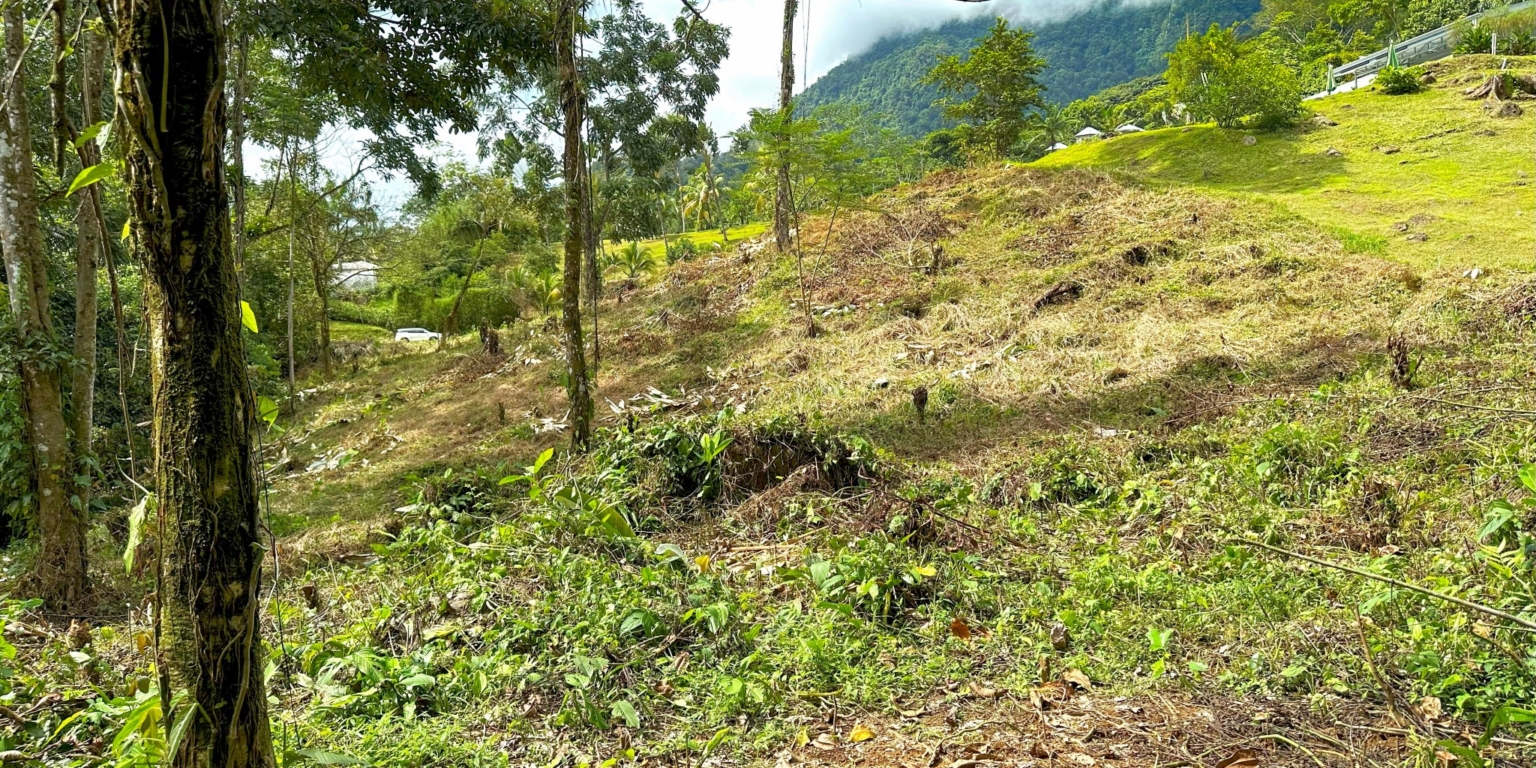 Stunning Mountain Views with River Frontage in One of the Most Sought-After Communities of Ojochal Costa Rica Stunning Mountain Views with River Frontage in One of the Most Sought-After Communities of Ojochal Costa Rica
