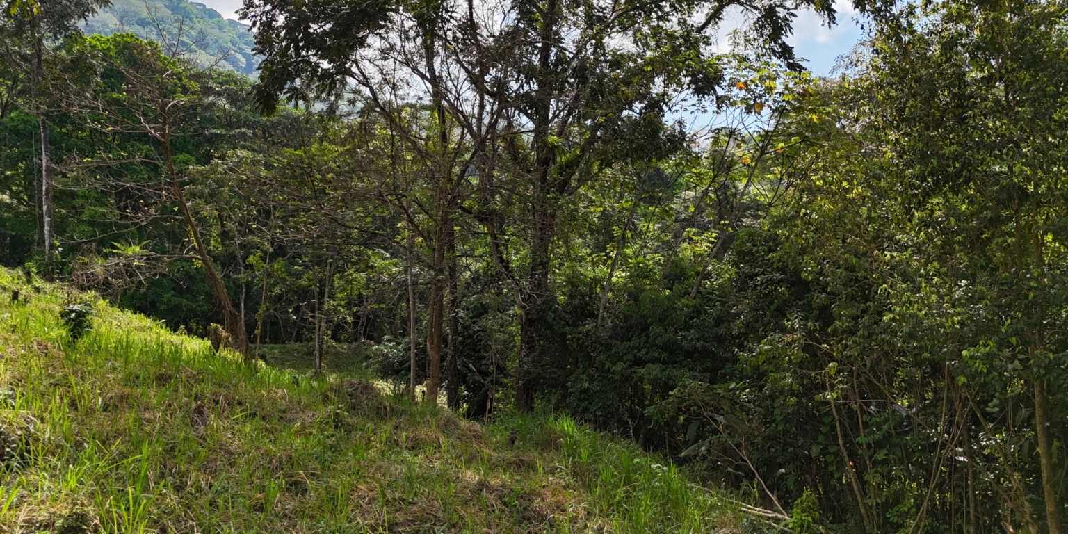 Stunning Mountain Views with River Frontage in One of the Most Sought-After Communities of Ojochal Costa Rica Stunning Mountain Views with River Frontage in One of the Most Sought-After Communities of Ojochal Costa Rica