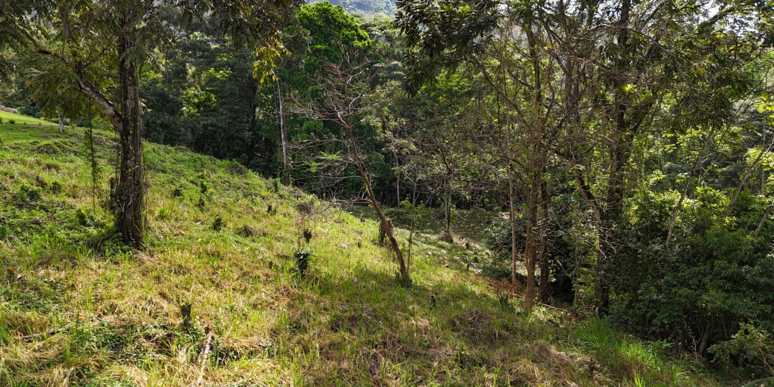 Stunning Mountain Views with River Frontage in One of the Most Sought-After Communities of Ojochal Costa Rica Stunning Mountain Views with River Frontage in One of the Most Sought-After Communities of Ojochal Costa Rica