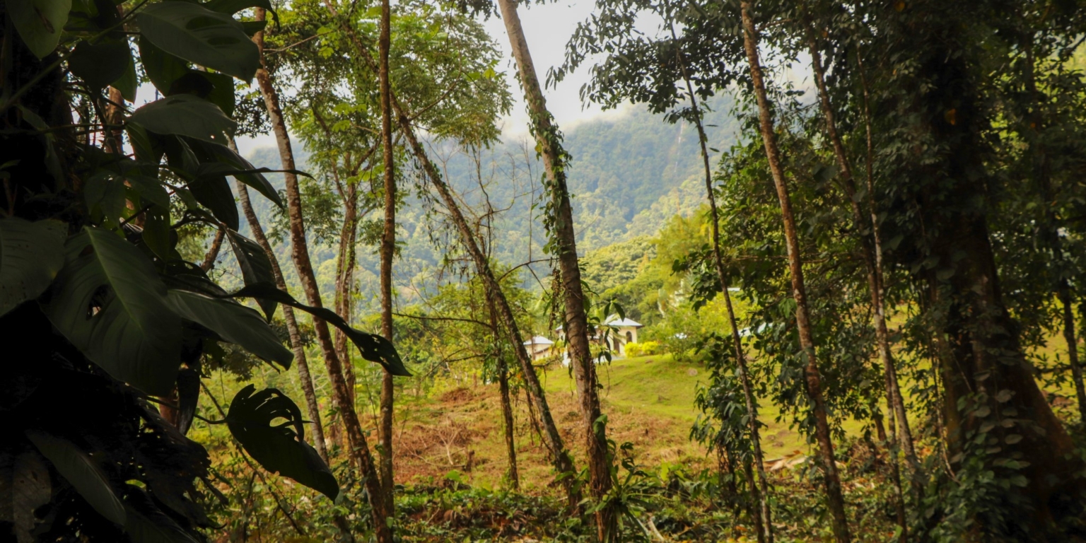 Stunning Mountain Views with River Frontage in One of the Most Sought-After Communities of Ojochal Costa Rica Stunning Mountain Views with River Frontage in One of the Most Sought-After Communities of Ojochal Costa Rica