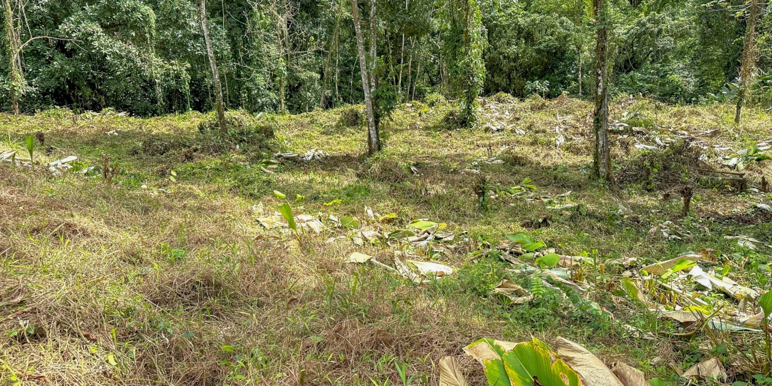 Stunning Mountain Views with River Frontage in One of the Most Sought-After Communities of Ojochal Costa Rica Stunning Mountain Views with River Frontage in One of the Most Sought-After Communities of Ojochal Costa Rica