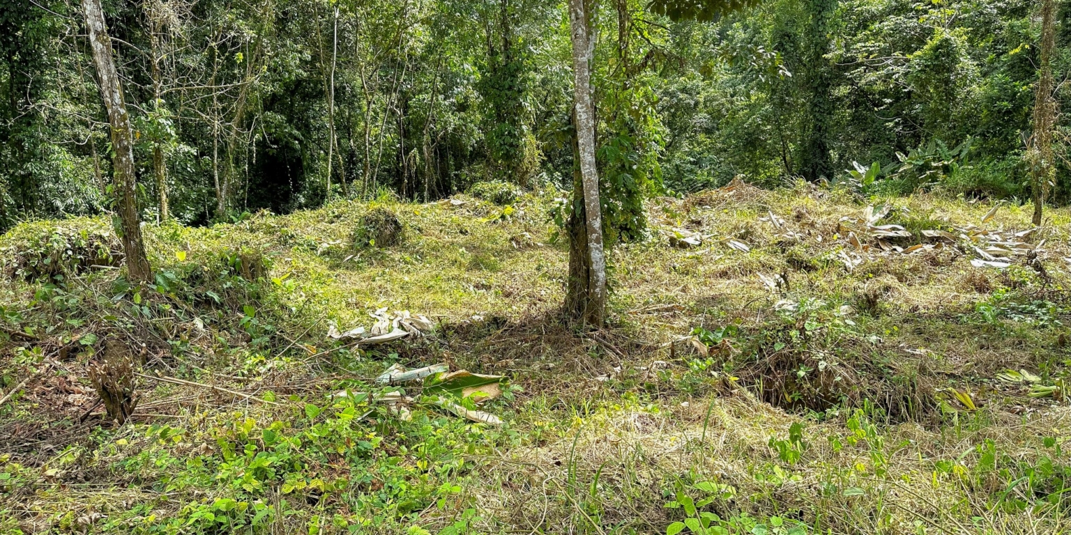 Stunning Mountain Views with River Frontage in One of the Most Sought-After Communities of Ojochal Costa Rica Stunning Mountain Views with River Frontage in One of the Most Sought-After Communities of Ojochal Costa Rica