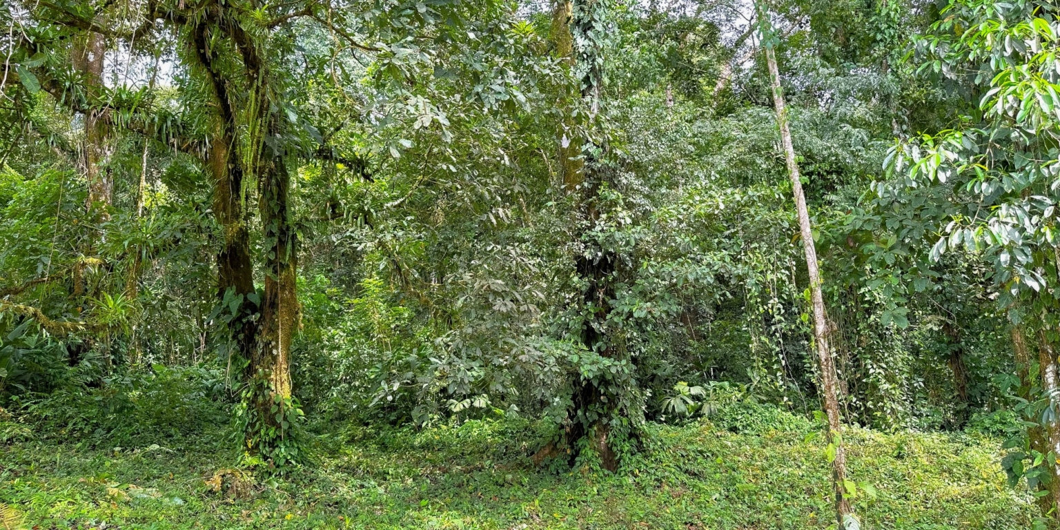 Stunning Mountain Views with River Frontage in One of the Most Sought-After Communities of Ojochal Costa Rica Stunning Mountain Views with River Frontage in One of the Most Sought-After Communities of Ojochal Costa Rica