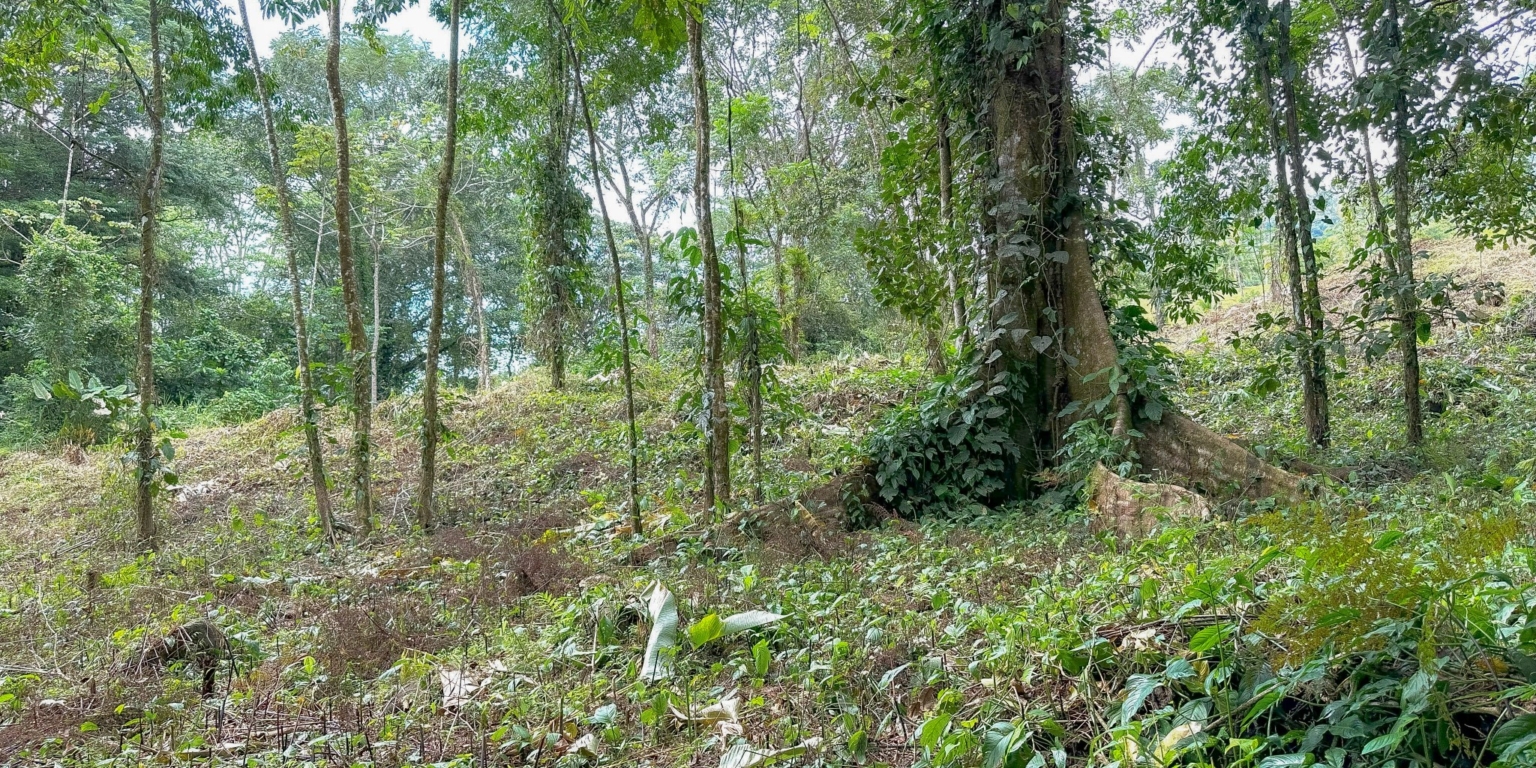 Stunning Mountain Views with River Frontage in One of the Most Sought-After Communities of Ojochal Costa Rica Stunning Mountain Views with River Frontage in One of the Most Sought-After Communities of Ojochal Costa Rica
