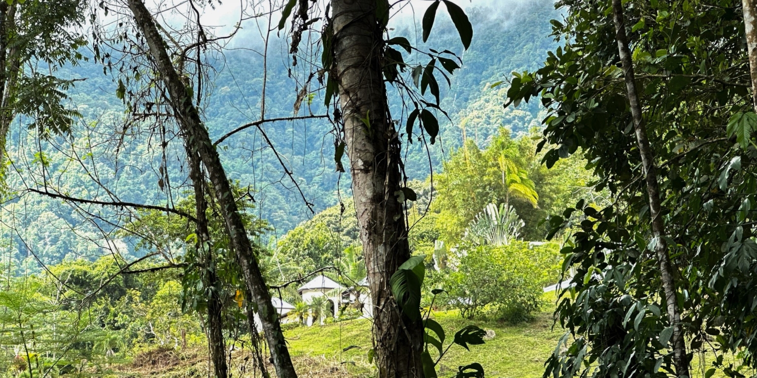 Stunning Mountain Views with River Frontage in One of the Most Sought-After Communities of Ojochal Costa Rica Stunning Mountain Views with River Frontage in One of the Most Sought-After Communities of Ojochal Costa Rica