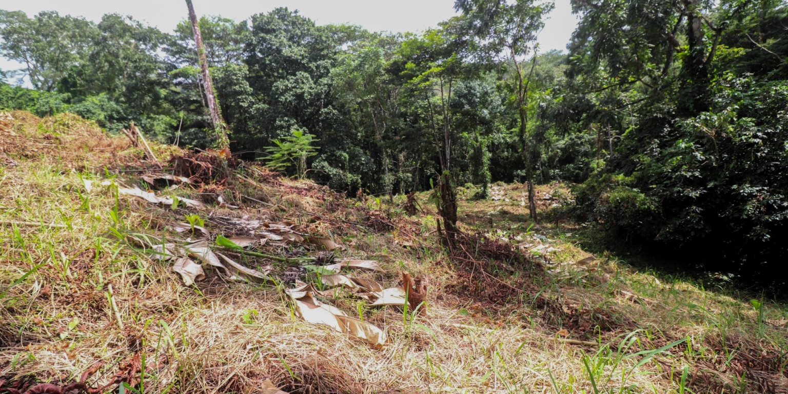 Stunning Mountain Views with River Frontage in One of the Most Sought-After Communities of Ojochal Costa Rica Stunning Mountain Views with River Frontage in One of the Most Sought-After Communities of Ojochal Costa Rica