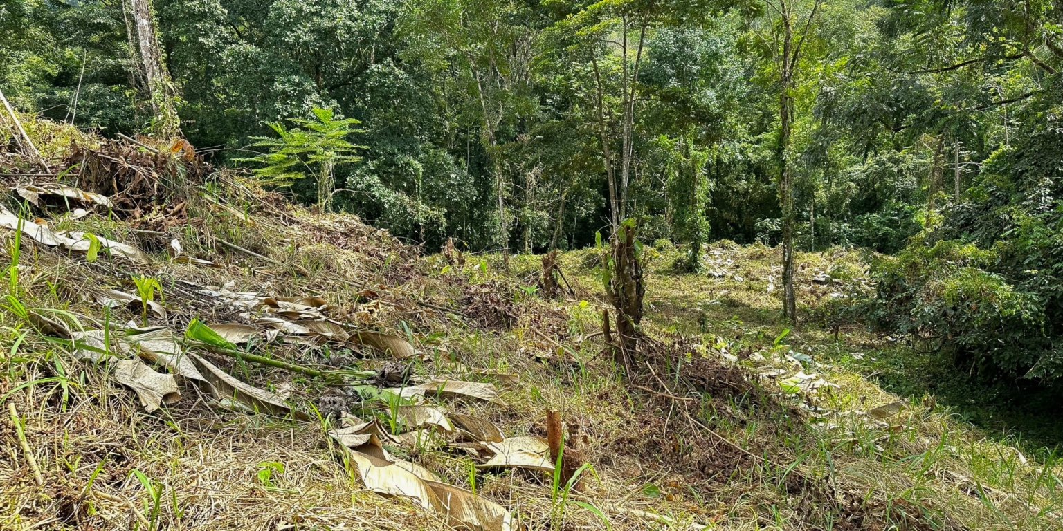 Stunning Mountain Views with River Frontage in One of the Most Sought-After Communities of Ojochal Costa Rica Stunning Mountain Views with River Frontage in One of the Most Sought-After Communities of Ojochal Costa Rica