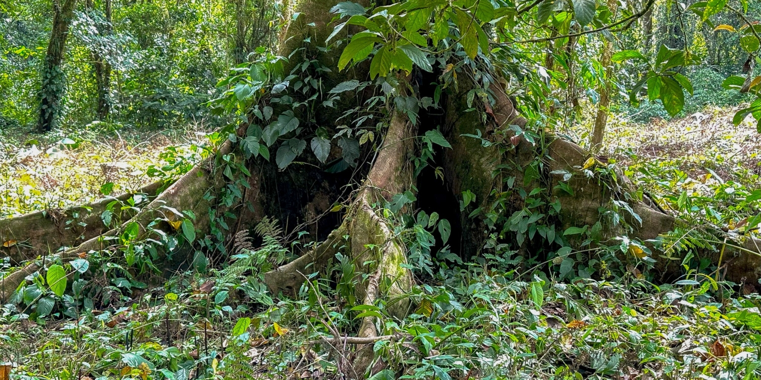 Stunning Mountain Views with River Frontage in One of the Most Sought-After Communities of Ojochal Costa Rica Stunning Mountain Views with River Frontage in One of the Most Sought-After Communities of Ojochal Costa Rica