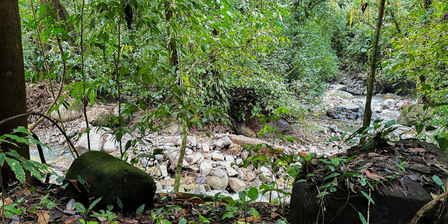 Stunning Mountain Views with River Frontage in One of the Most Sought-After Communities of Ojochal Costa Rica Stunning Mountain Views with River Frontage in One of the Most Sought-After Communities of Ojochal Costa Rica