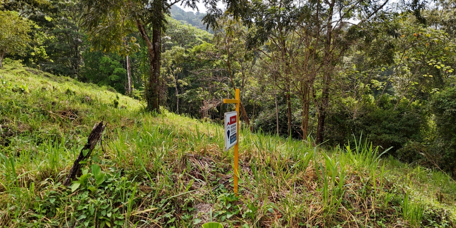 Stunning Mountain Views with River Frontage in One of the Most Sought-After Communities of Ojochal Costa Rica Stunning Mountain Views with River Frontage in One of the Most Sought-After Communities of Ojochal Costa Rica