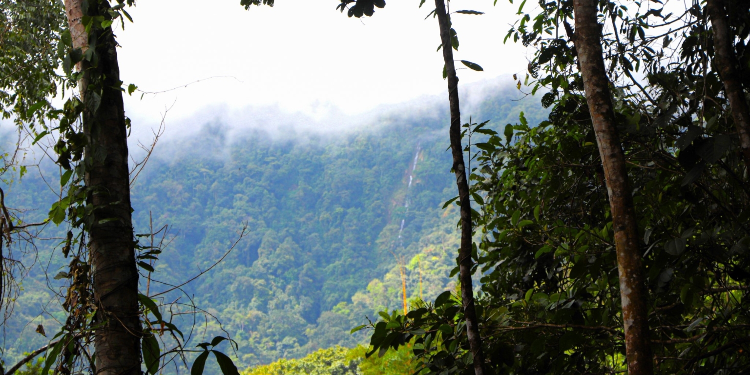 Stunning Mountain Views with River Frontage in One of the Most Sought-After Communities of Ojochal Costa Rica Stunning Mountain Views with River Frontage in One of the Most Sought-After Communities of Ojochal Costa Rica