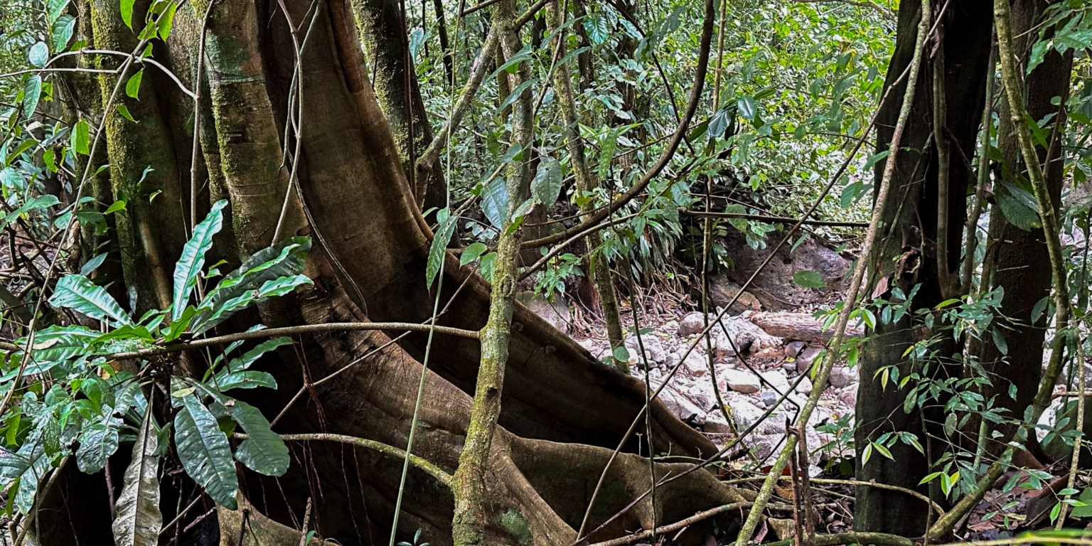 Stunning Mountain Views with River Frontage in One of the Most Sought-After Communities of Ojochal Costa Rica Stunning Mountain Views with River Frontage in One of the Most Sought-After Communities of Ojochal Costa Rica