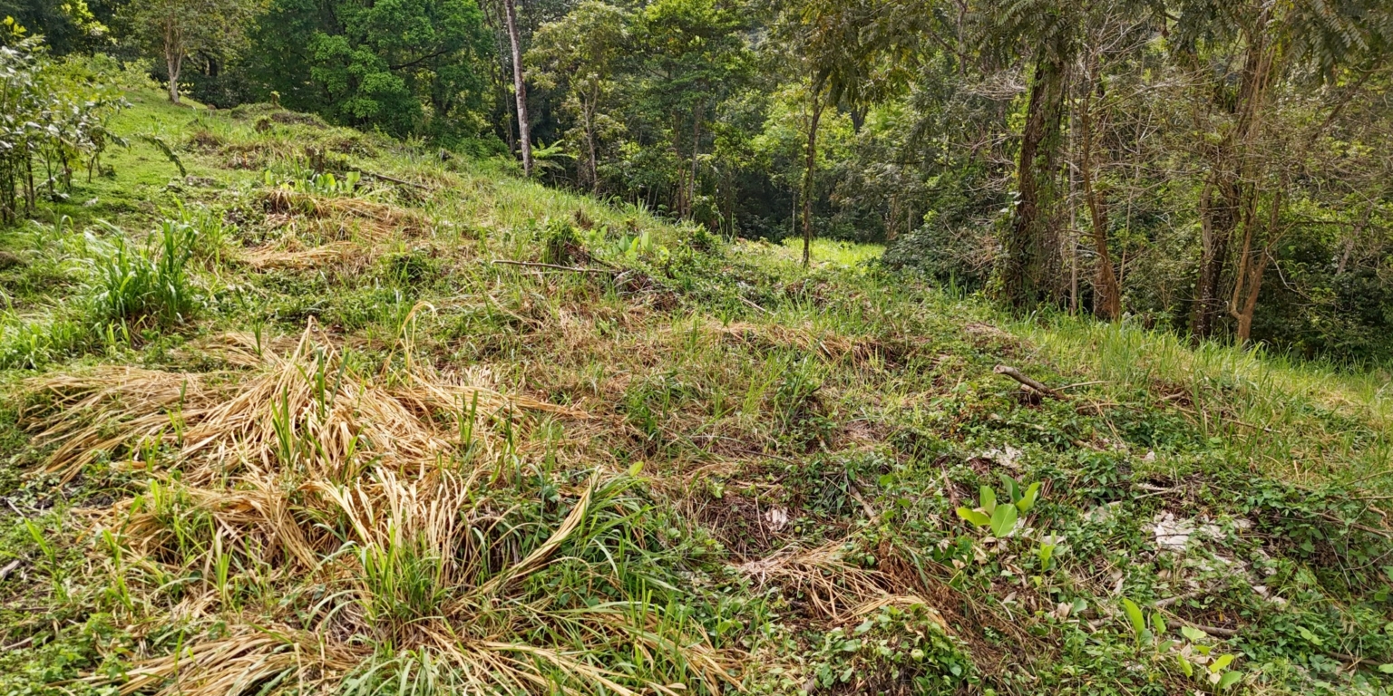 Stunning Mountain Views with River Frontage in One of the Most Sought-After Communities of Ojochal Costa Rica Stunning Mountain Views with River Frontage in One of the Most Sought-After Communities of Ojochal Costa Rica
