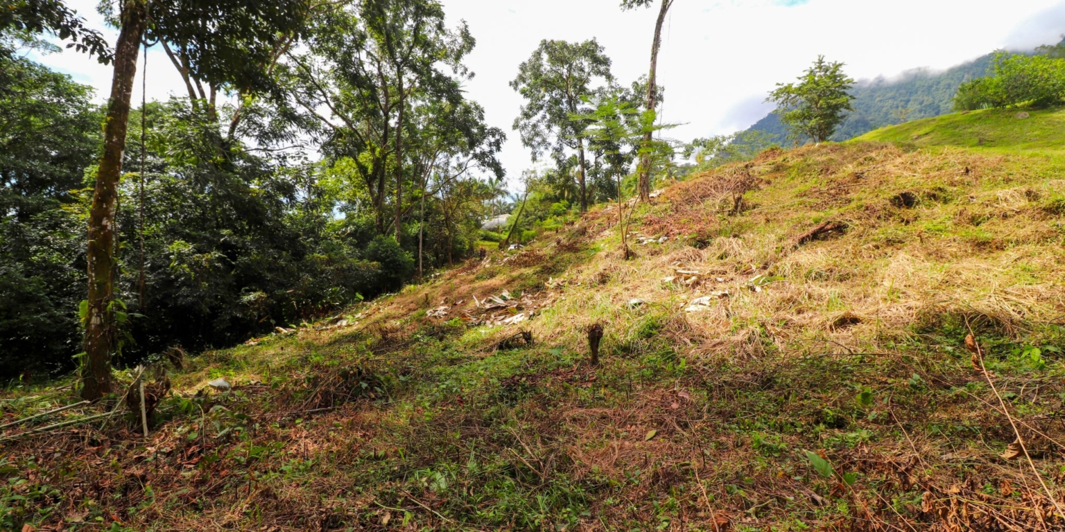 Stunning Mountain Views with River Frontage in One of the Most Sought-After Communities of Ojochal Costa Rica Stunning Mountain Views with River Frontage in One of the Most Sought-After Communities of Ojochal Costa Rica