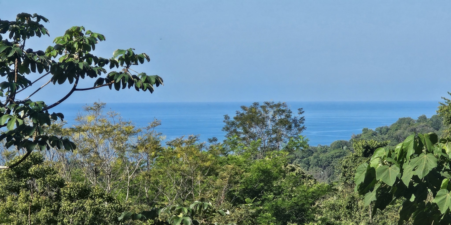 Charming Fully-Furnished 3-Bedroom Home with Breathtaking Sunset Ocean Views in Playa Hermosa near Uvita Costa Rica Charming Fully-Furnished 3-Bedroom Home with Breathtaking Sunset Ocean Views in Playa Hermosa near Uvita Costa Rica