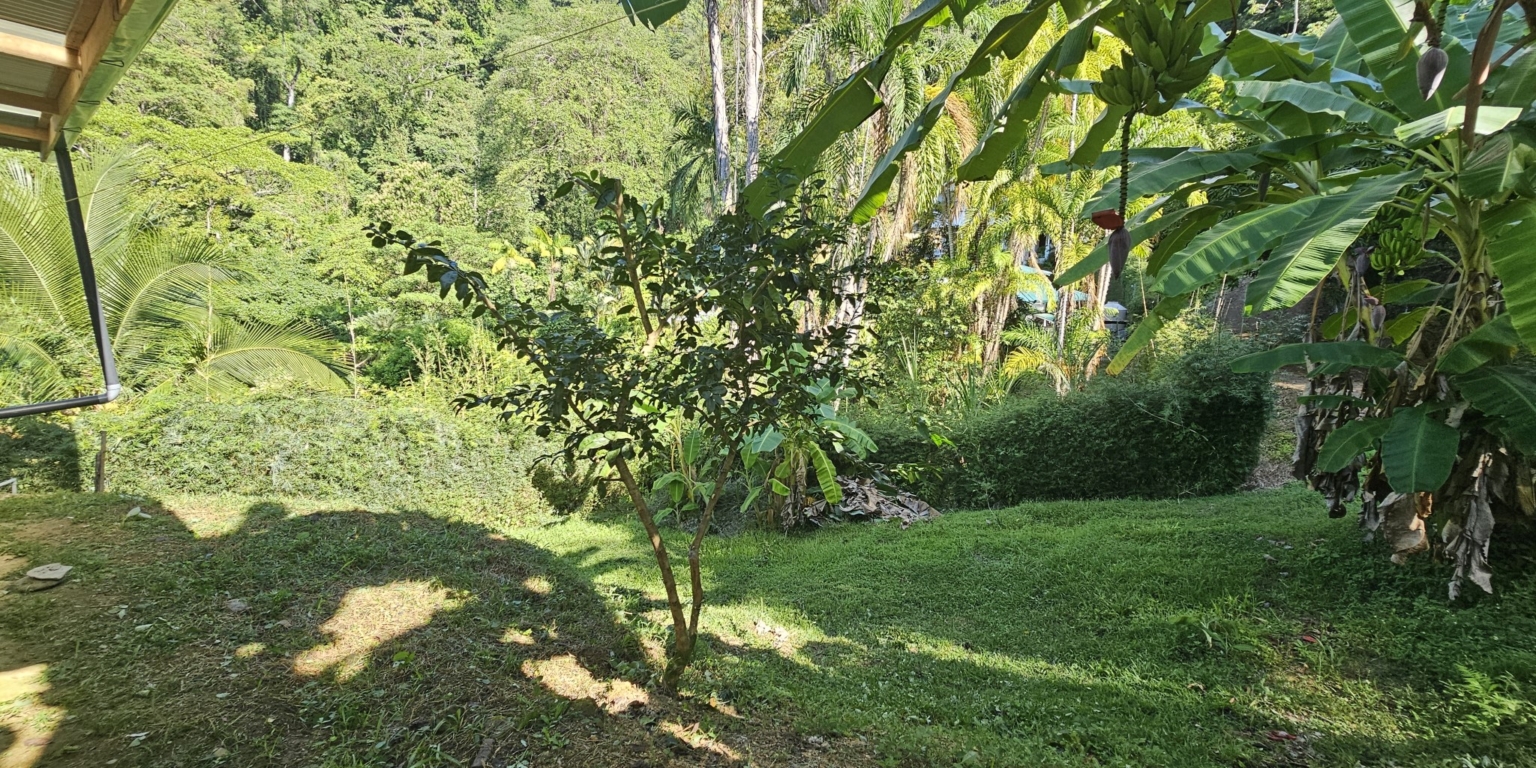 Charming Fully-Furnished 3-Bedroom Home with Breathtaking Sunset Ocean Views in Playa Hermosa near Uvita Costa Rica Charming Fully-Furnished 3-Bedroom Home with Breathtaking Sunset Ocean Views in Playa Hermosa near Uvita Costa Rica