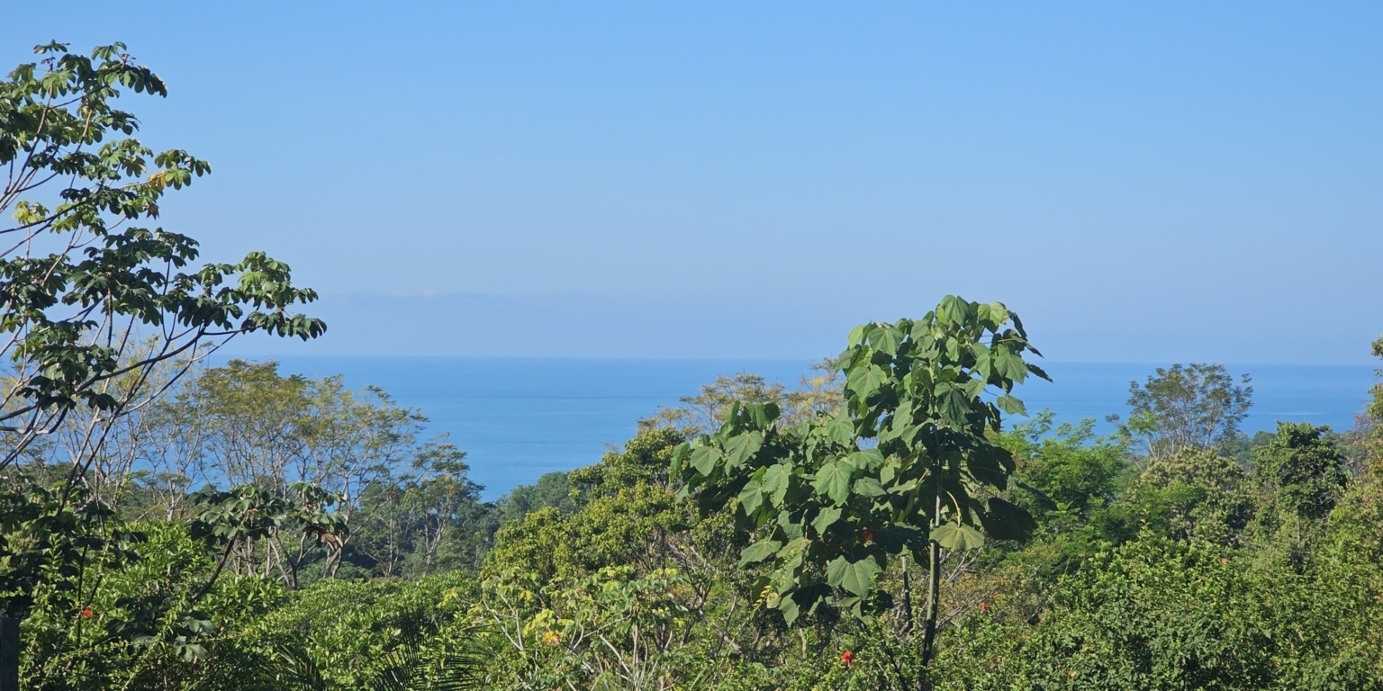 Charming Fully-Furnished 3-Bedroom Home with Breathtaking Sunset Ocean Views in Playa Hermosa near Uvita Costa Rica Charming Fully-Furnished 3-Bedroom Home with Breathtaking Sunset Ocean Views in Playa Hermosa near Uvita Costa Rica