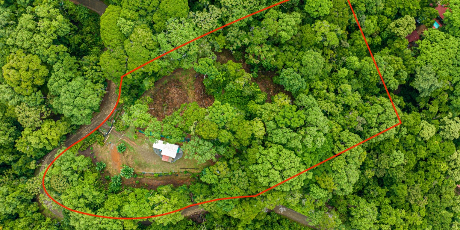 Beautiful 2-Acre Jungle Property with Container Home on Cinco Ventanas Road in Ojochal Costa Rica- Beautiful 2-Acre Jungle Property with Container Home on Cinco Ventanas Road in Ojochal Costa Rica