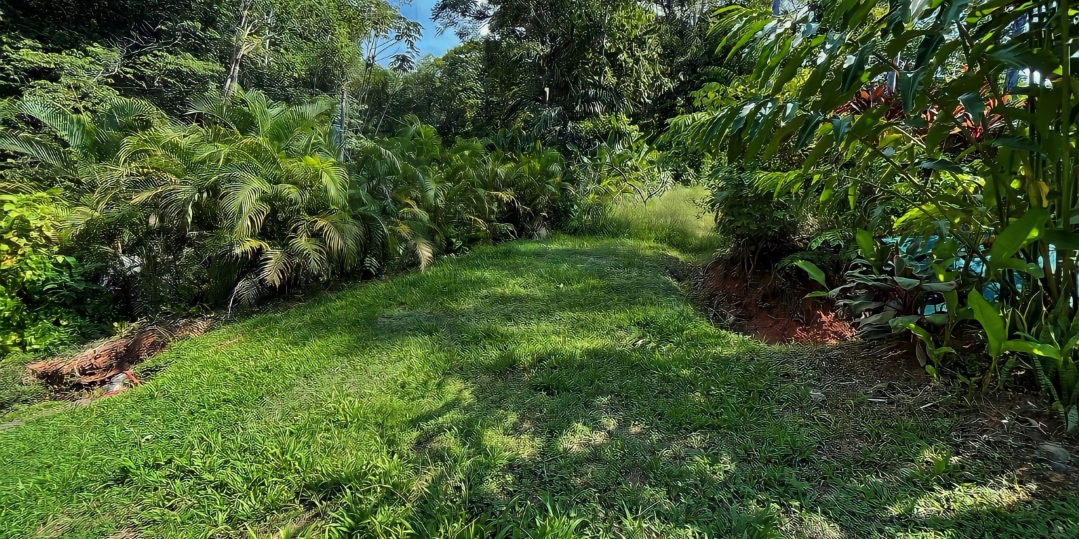 Beautiful 2-Acre Jungle Property with Container Home on Cinco Ventanas Road in Ojochal Costa Rica- Beautiful 2-Acre Jungle Property with Container Home on Cinco Ventanas Road in Ojochal Costa Rica