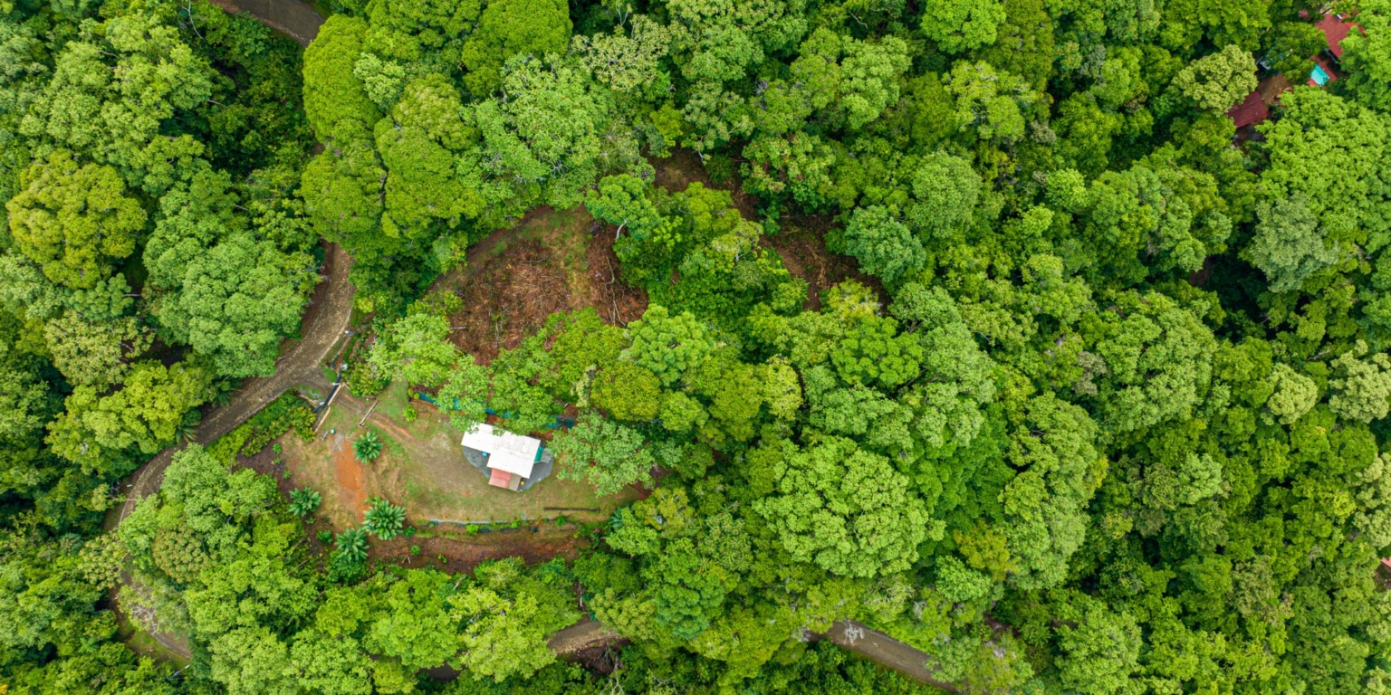 Beautiful 2-Acre Jungle Property with Container Home on Cinco Ventanas Road in Ojochal Costa Rica- Beautiful 2-Acre Jungle Property with Container Home on Cinco Ventanas Road in Ojochal Costa Rica