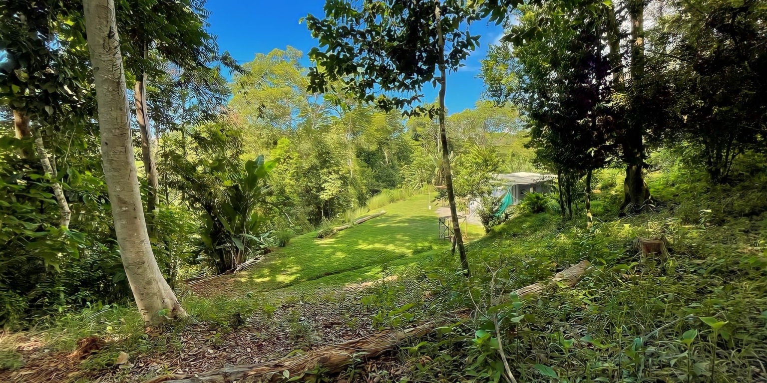 Beautiful 2-Acre Jungle Property with Container Home on Cinco Ventanas Road in Ojochal Costa Rica- Beautiful 2-Acre Jungle Property with Container Home on Cinco Ventanas Road in Ojochal Costa Rica