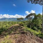 Ridgetop Land with 2.3 Acres with Jungle & Mountain Views in Desirable Finca Marañon in Ojochal Costa Rica