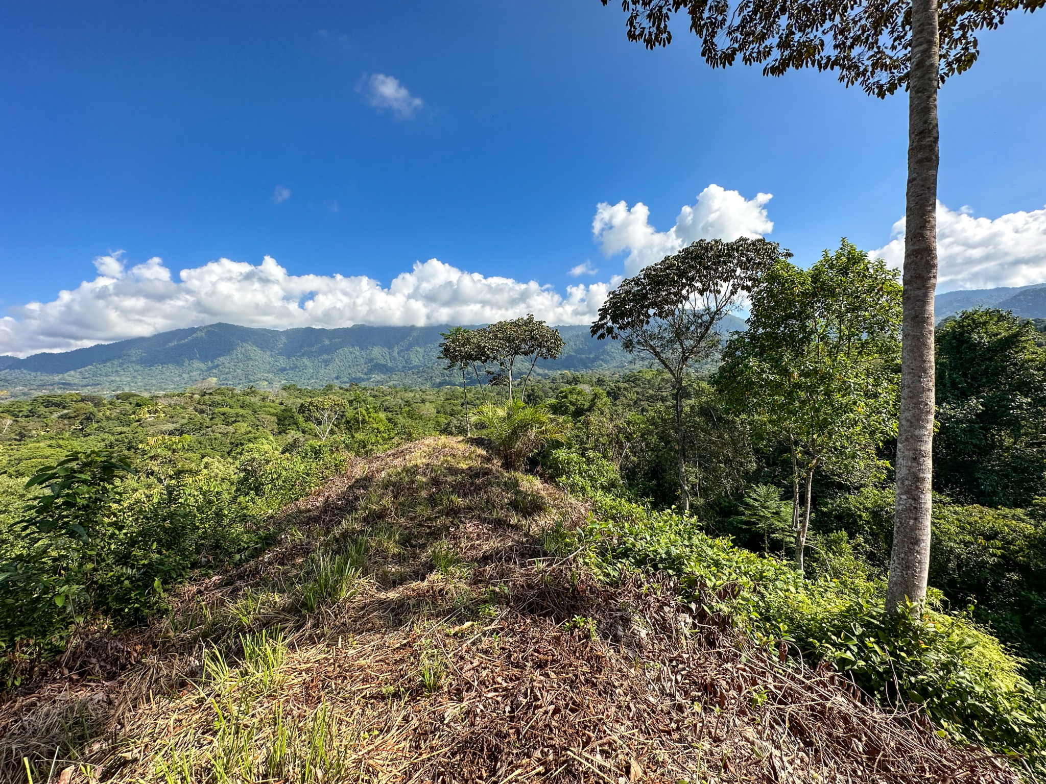 Ridgetop Land with 2.3 Acres with Jungle & Mountain Views in Desirable Finca Marañon in Ojochal Costa Rica