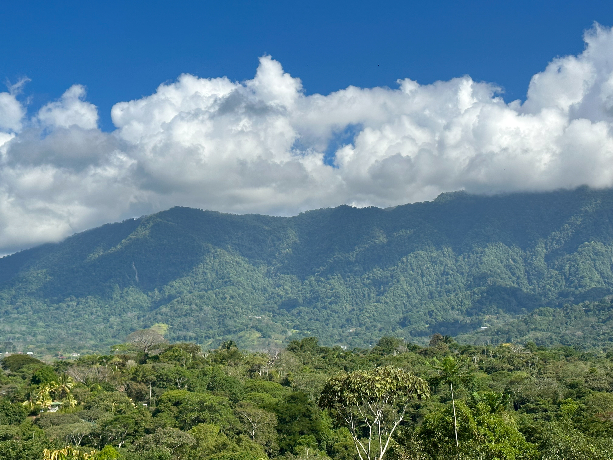 Ridgetop Land with 2.3 Acres with Jungle & Mountain Views in Desirable Finca Marañon in Ojochal Costa Rica