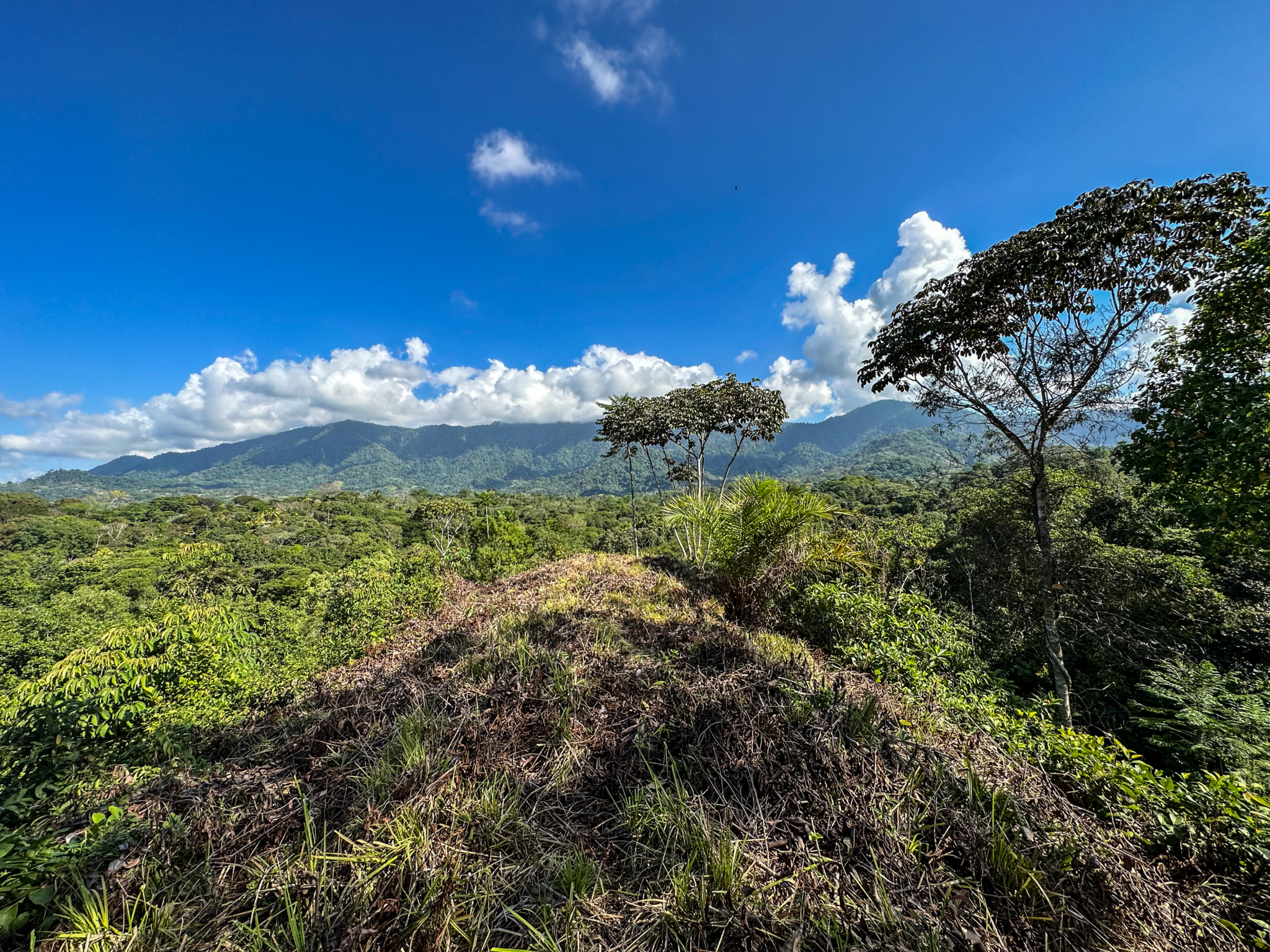 Ridgetop Land with 2.3 Acres with Jungle & Mountain Views in Desirable Finca Marañon in Ojochal Costa Rica