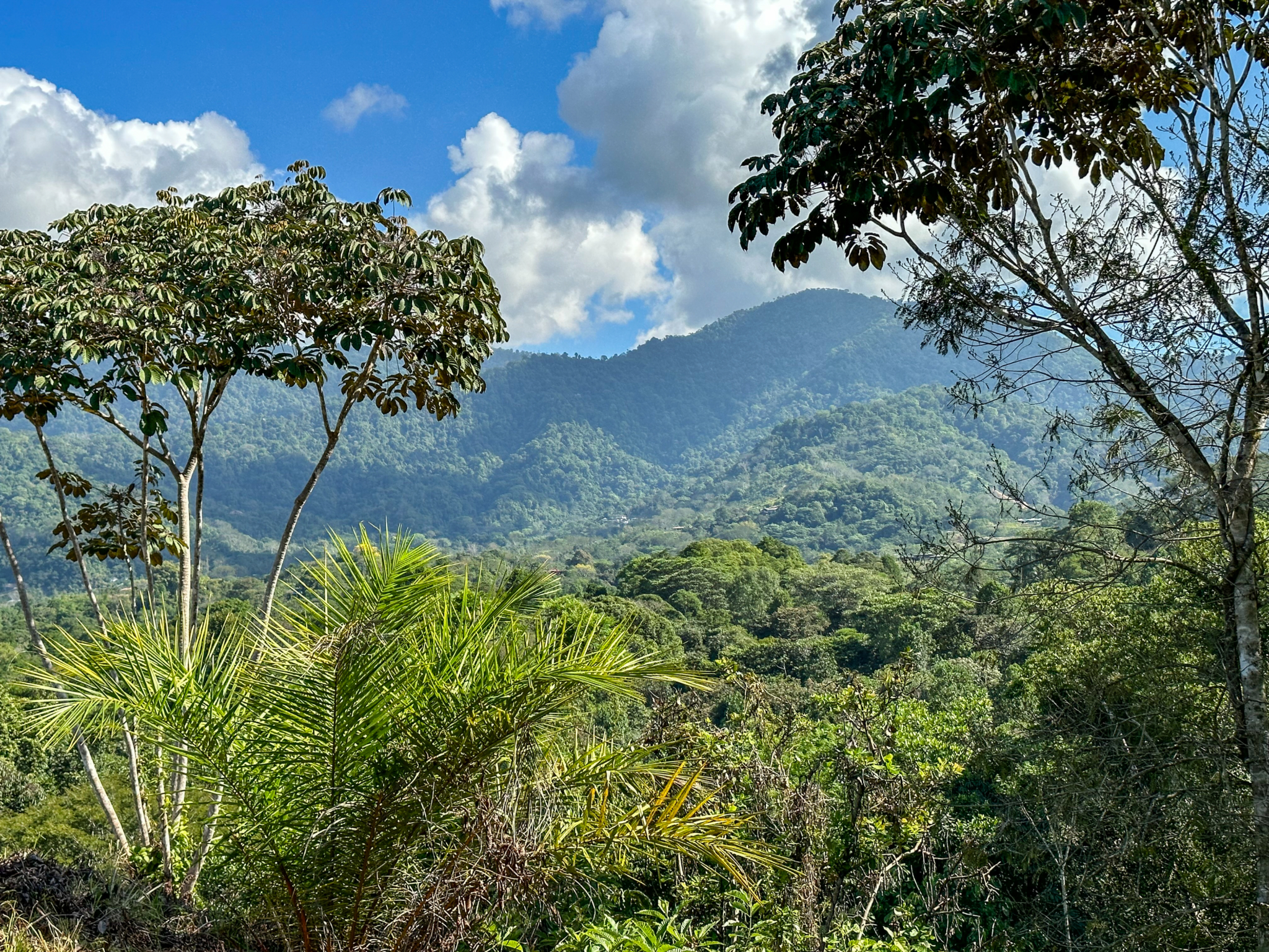 Ridgetop Land with 2.3 Acres with Jungle & Mountain Views in Desirable Finca Marañon in Ojochal Costa Rica