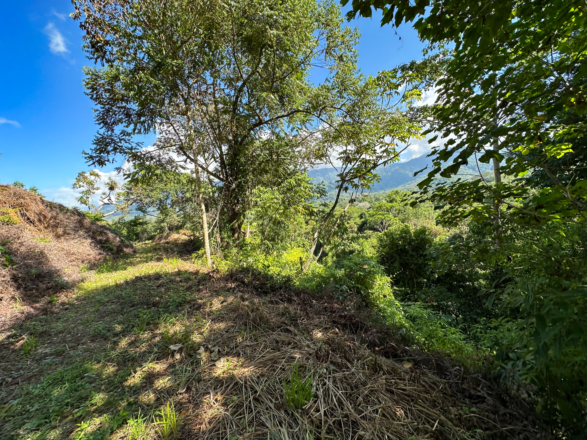 Ridgetop Land with 2.3 Acres with Jungle & Mountain Views in Desirable Finca Marañon in Ojochal Costa Rica