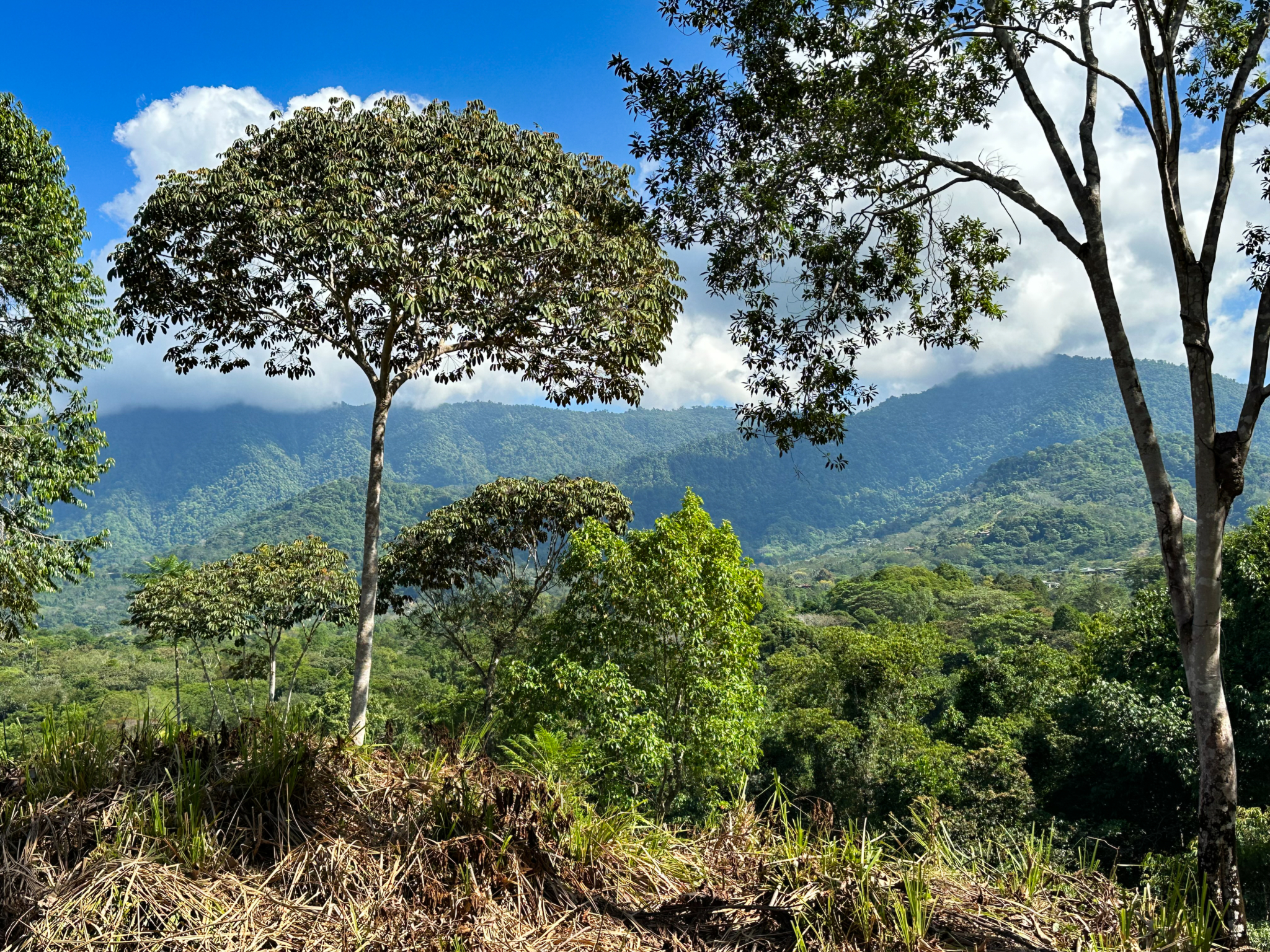Ridgetop Land with 2.3 Acres with Jungle & Mountain Views in Desirable Finca Marañon in Ojochal Costa Rica