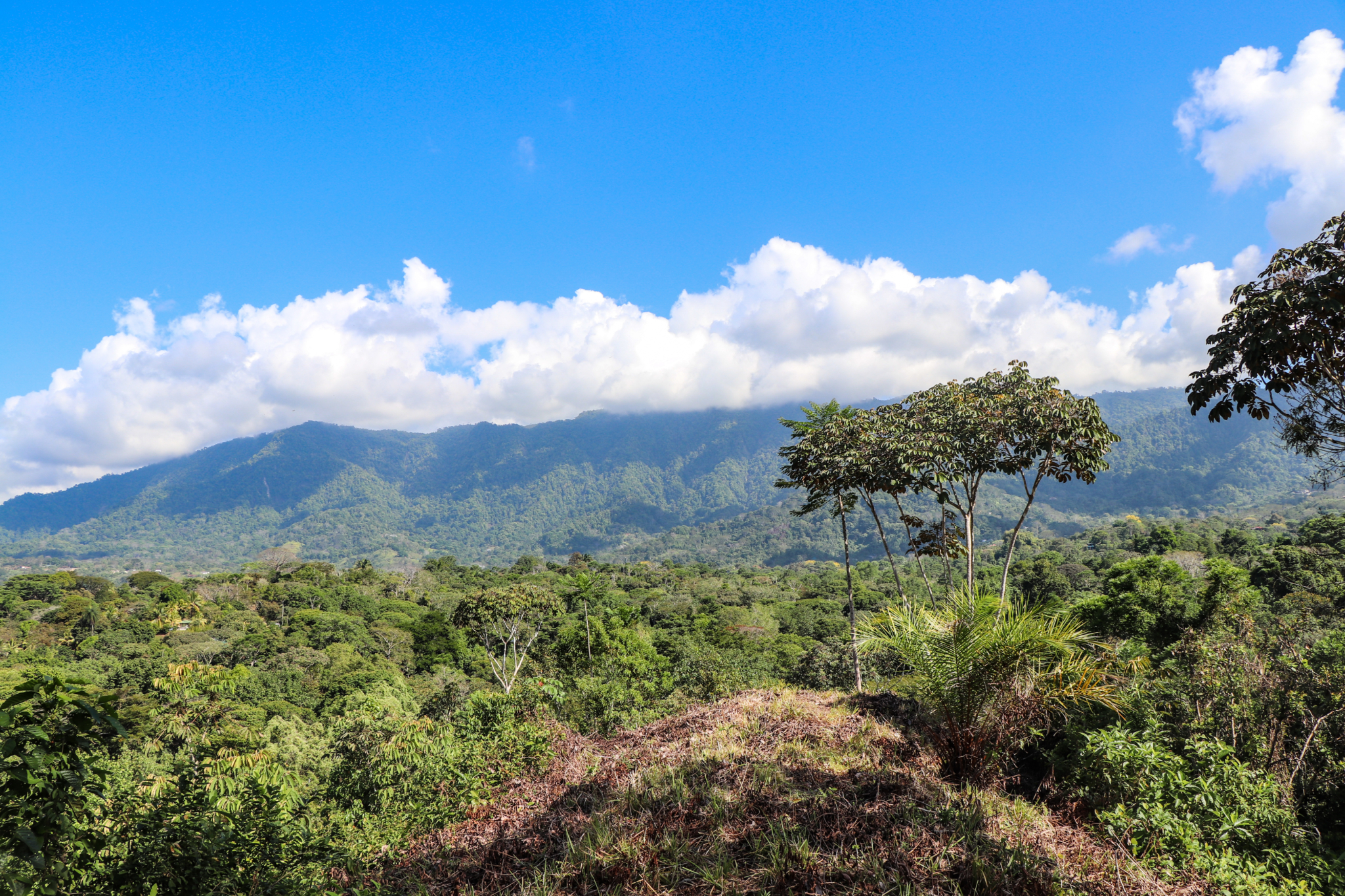 Ridgetop Land with 2.3 Acres with Jungle & Mountain Views in Desirable Finca Marañon in Ojochal Costa Rica