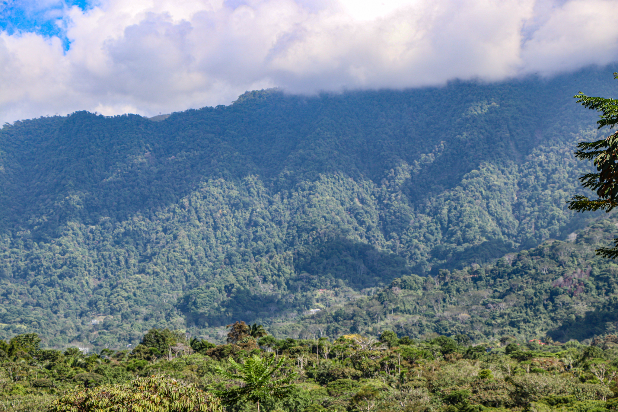 Ridgetop Land with 2.3 Acres with Jungle & Mountain Views in Desirable Finca Marañon in Ojochal Costa Rica