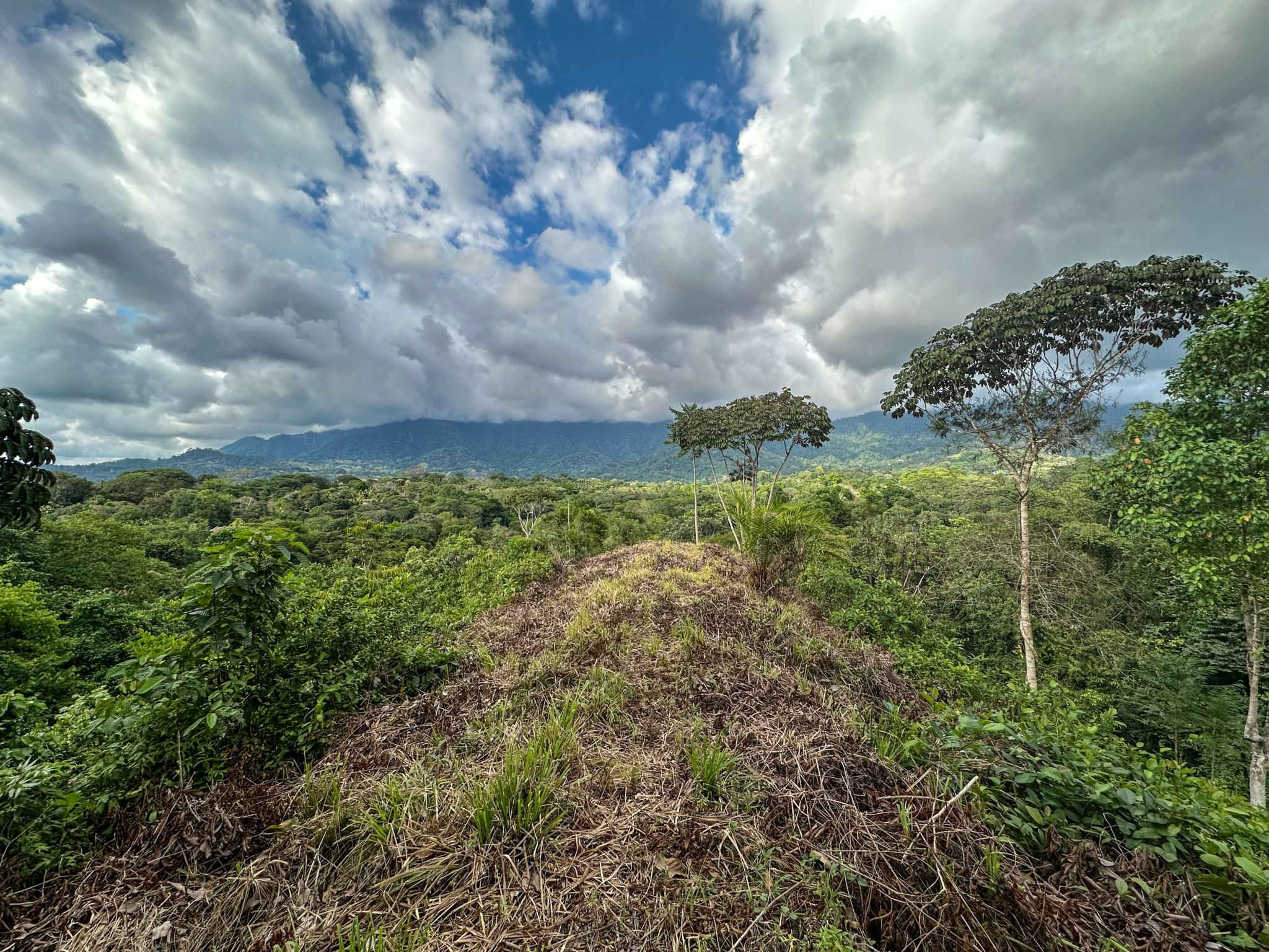 Ridgetop Land with 2.3 Acres with Jungle & Mountain Views in Desirable Finca Marañon in Ojochal Costa Rica