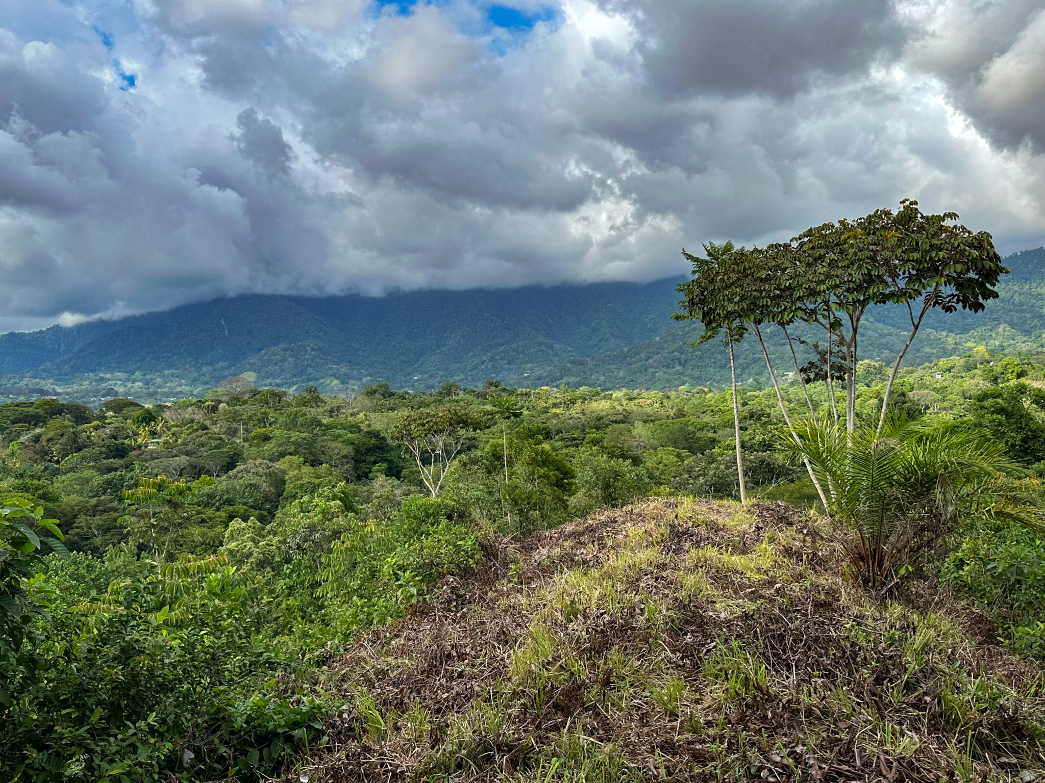 Ridgetop Land with 2.3 Acres with Jungle & Mountain Views in Desirable Finca Marañon in Ojochal Costa Rica