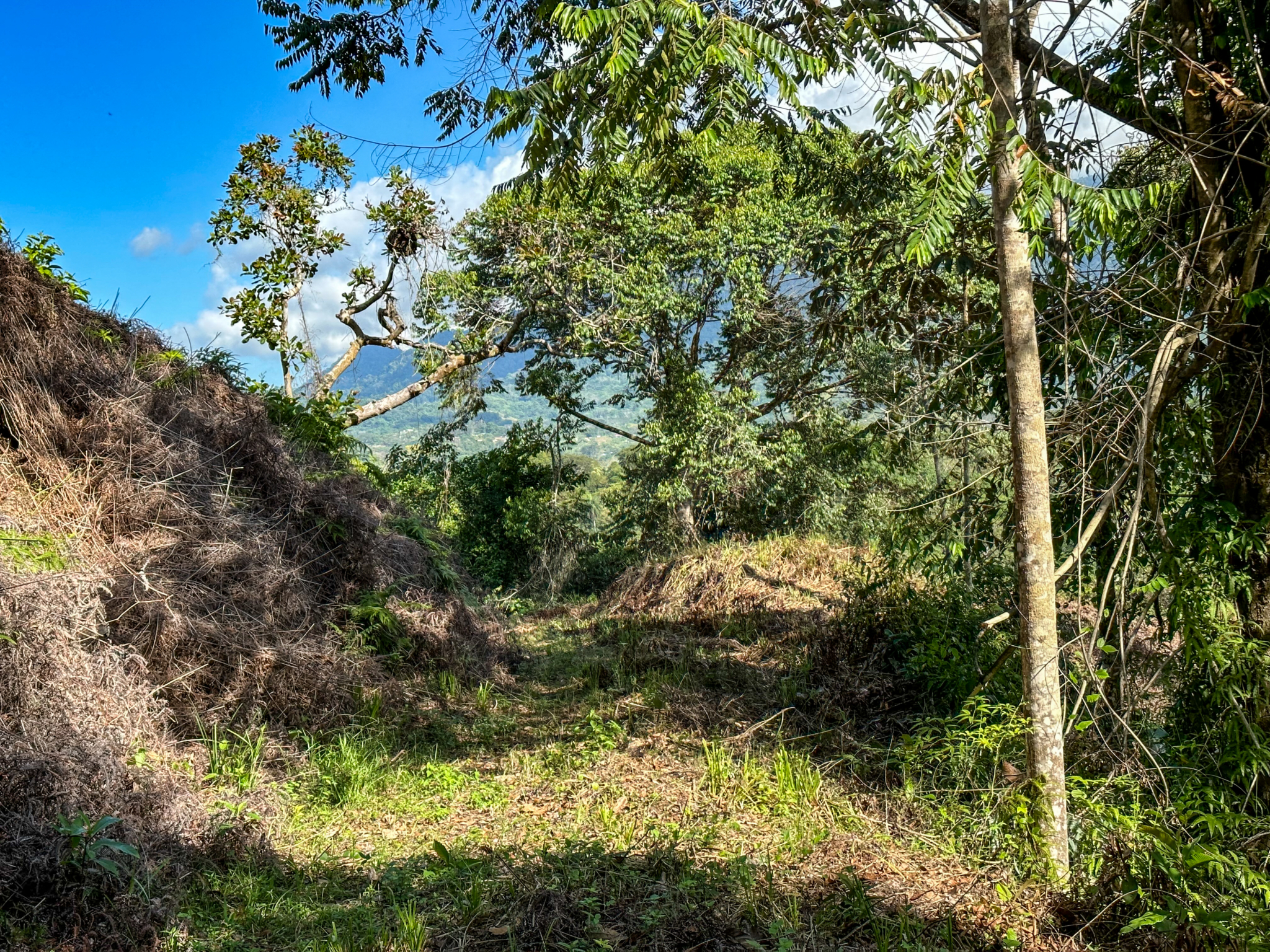 Ridgetop Land with 2.3 Acres with Jungle & Mountain Views in Desirable Finca Marañon in Ojochal Costa Rica