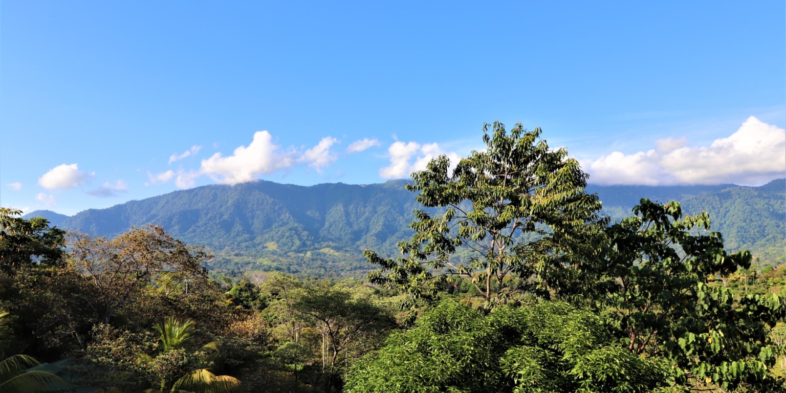 House & Cabins With Outstanding Ocean, Sunset & Mountain Views on the Front Ridge in Ojochal Costa Rica