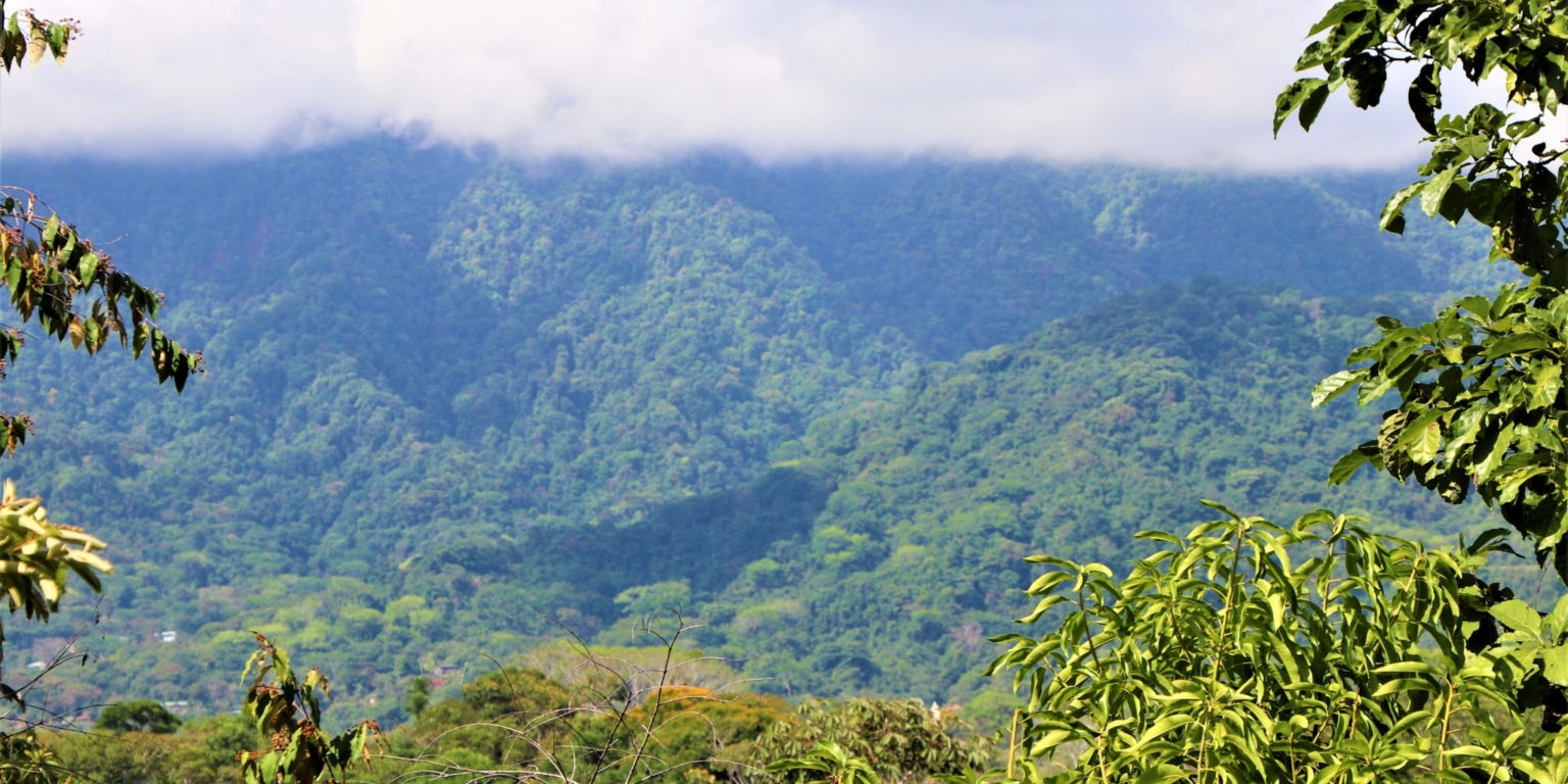 House & Cabins With Outstanding Ocean, Sunset & Mountain Views on the Front Ridge in Ojochal Costa Rica