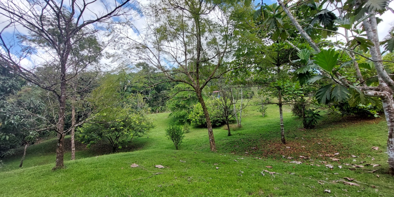 Stunning Ocean View Sanctuary Home with Cabina, Pool & Acreage in Chontales Costa Rica