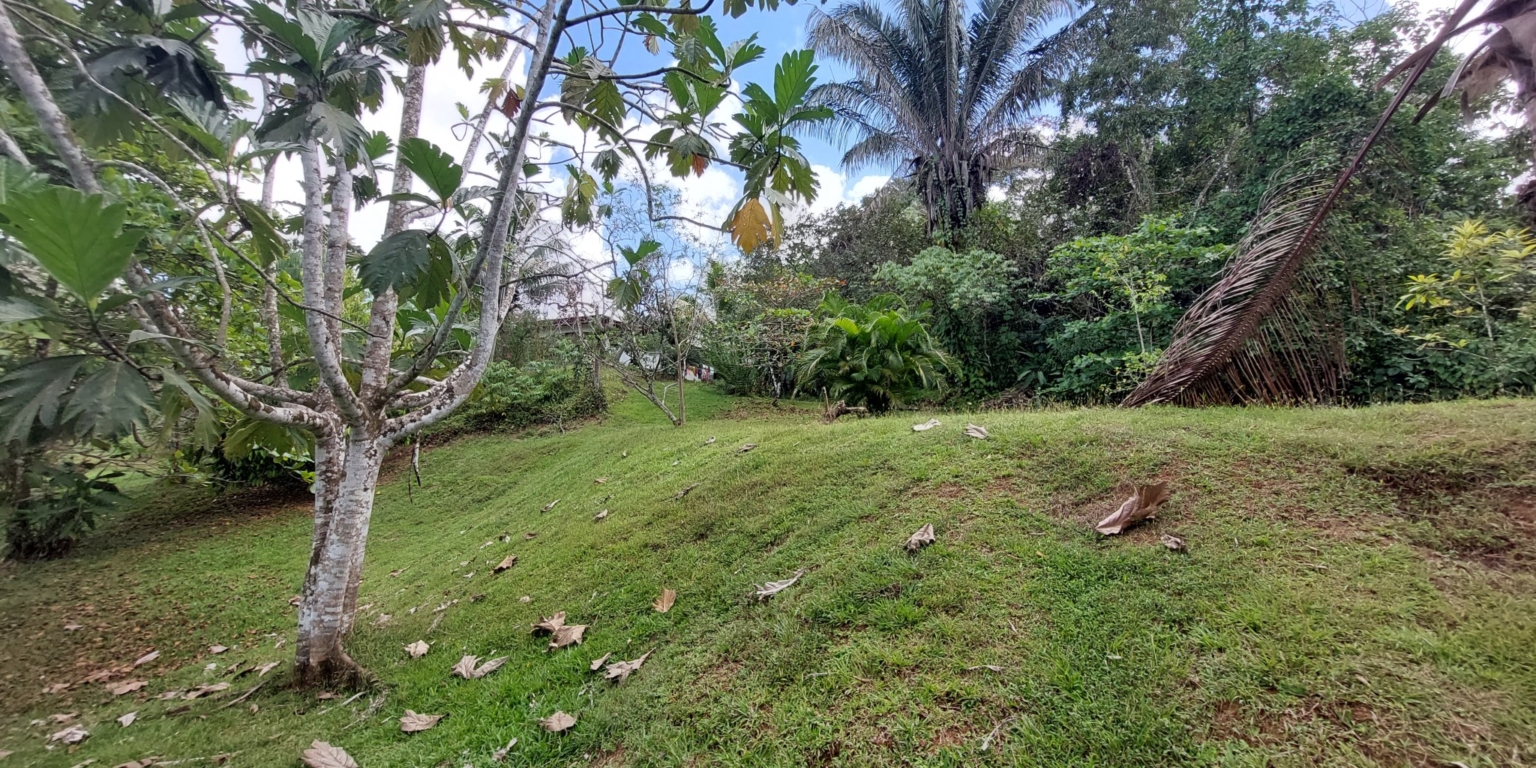 Stunning Ocean View Sanctuary Home with Cabina, Pool & Acreage in Chontales Costa Rica