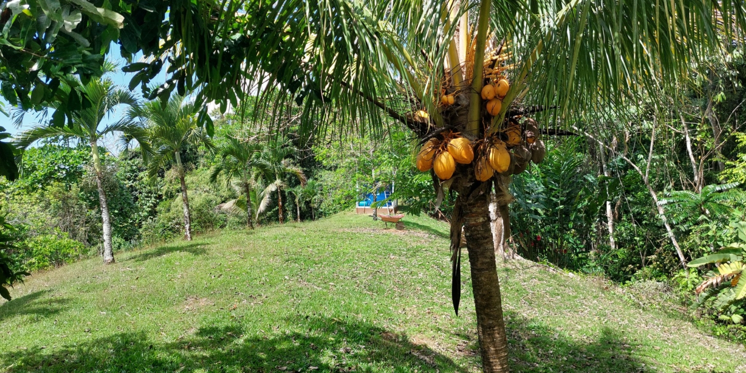 Stunning Ocean View Sanctuary Home with Cabina, Pool & Acreage in Chontales Costa Rica