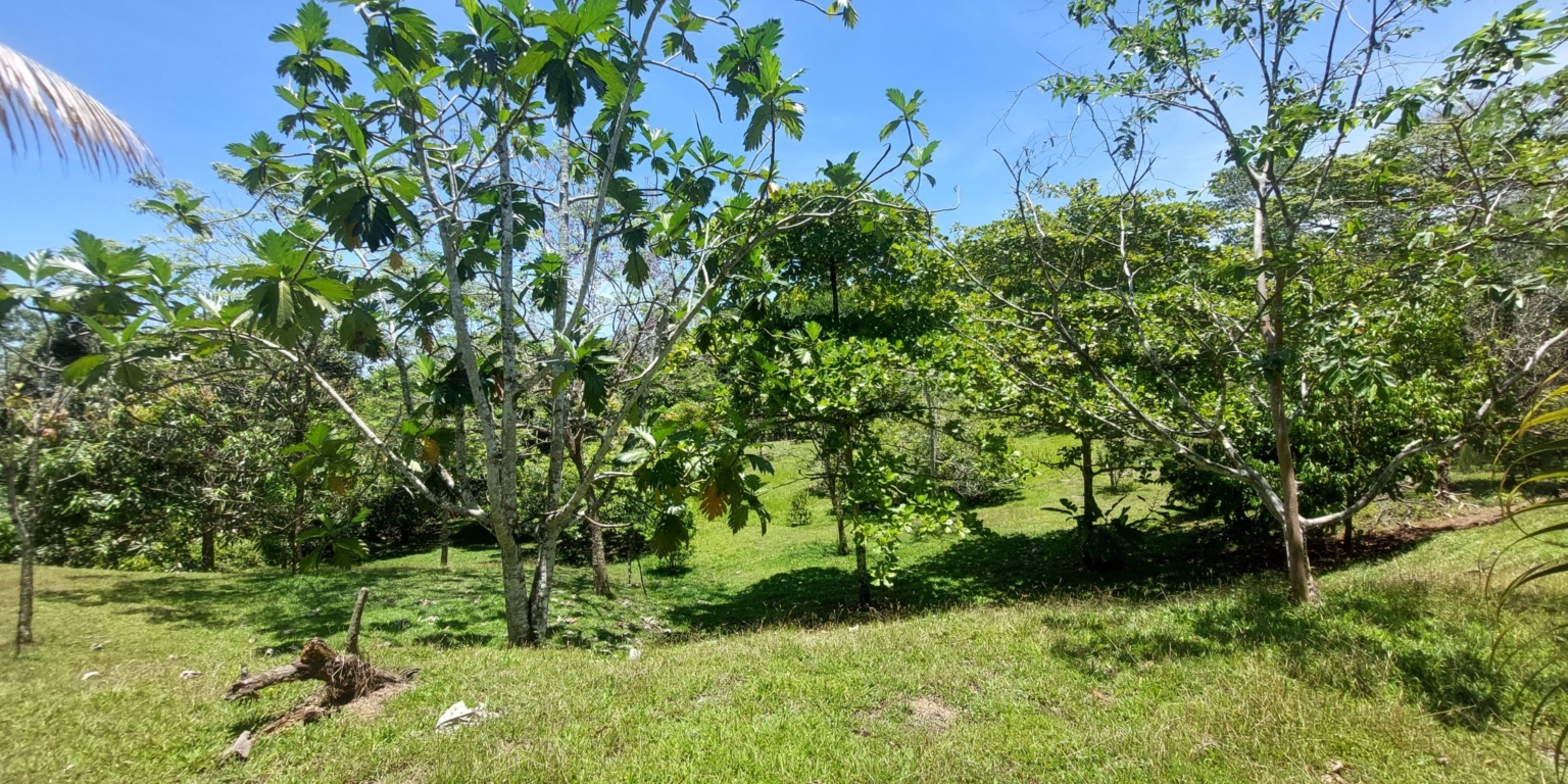 Stunning Ocean View Sanctuary Home with Cabina, Pool & Acreage in Chontales Costa Rica